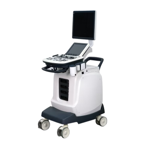 Ecógrafo 4D Doppler Color YSB-S7 en trolley