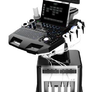 Ecógrafo 5D Doppler Color YSB-T30 con pantalla de 21.5 pulgadas en trolley